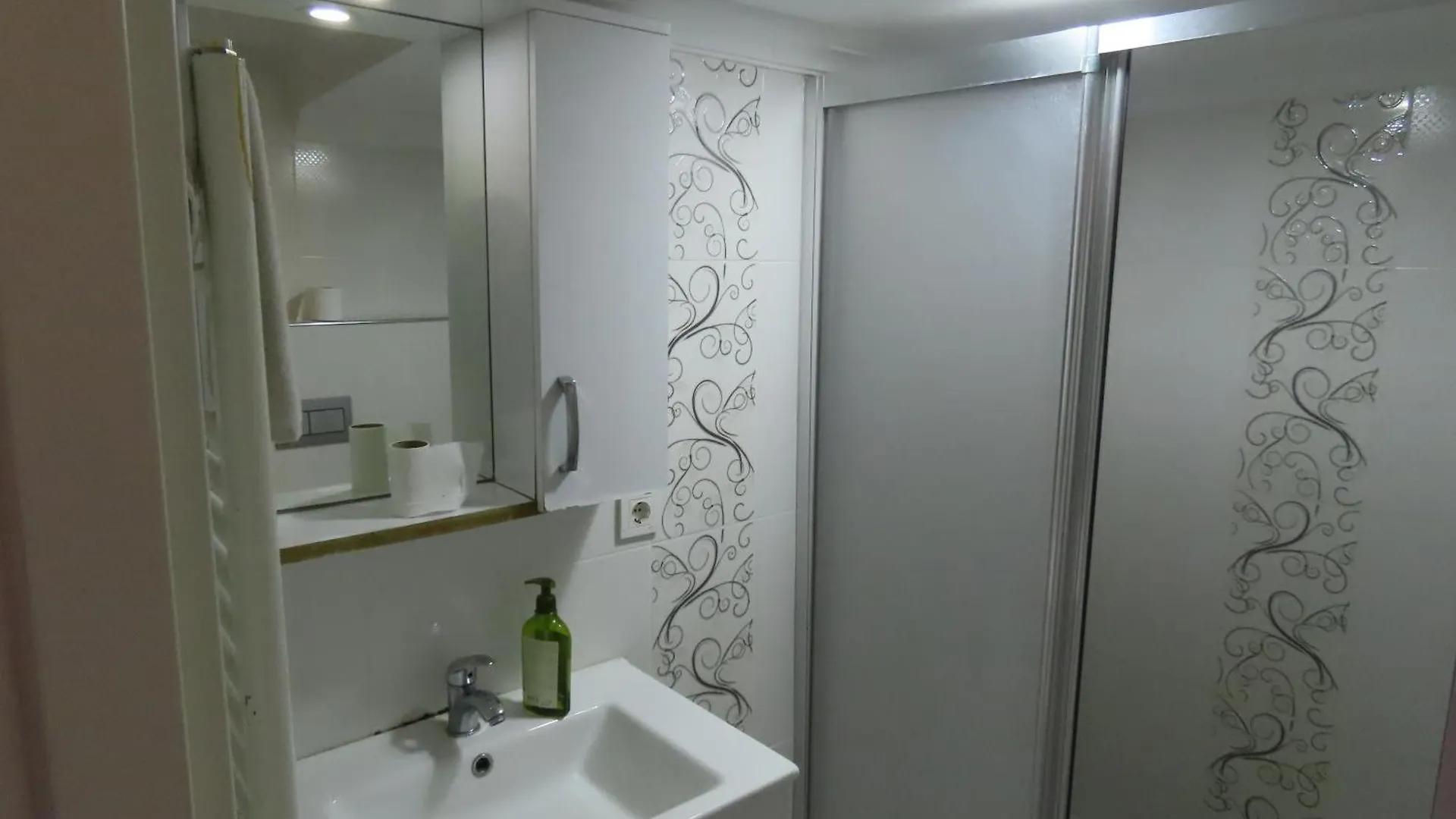 Apartment Sultanahmet Apart Hotel House Istanbul